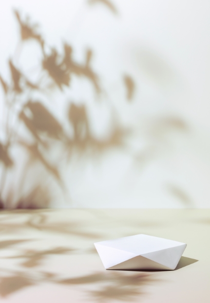 Stylistic photo of plant shadows on a white wall